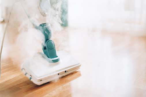 Vacuum and Steam Cleaning